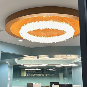 Cervine Round Clear Geode Quartz Crystal Ring Chandelier 24" - Zonesus