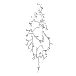 Large Long Branch Flower Chandelier - Zonesus