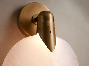 Lyla Sconce - Zonesus