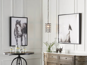 La Cage Pendant - Zonesus