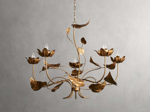 Ninfea Chandelier 49''D - Zonesus