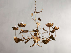 Ninfea Chandelier 49''D - Zonesus