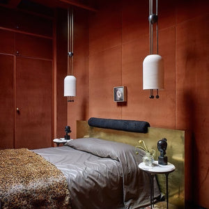 Benjamin Pendant Light - Zonesus