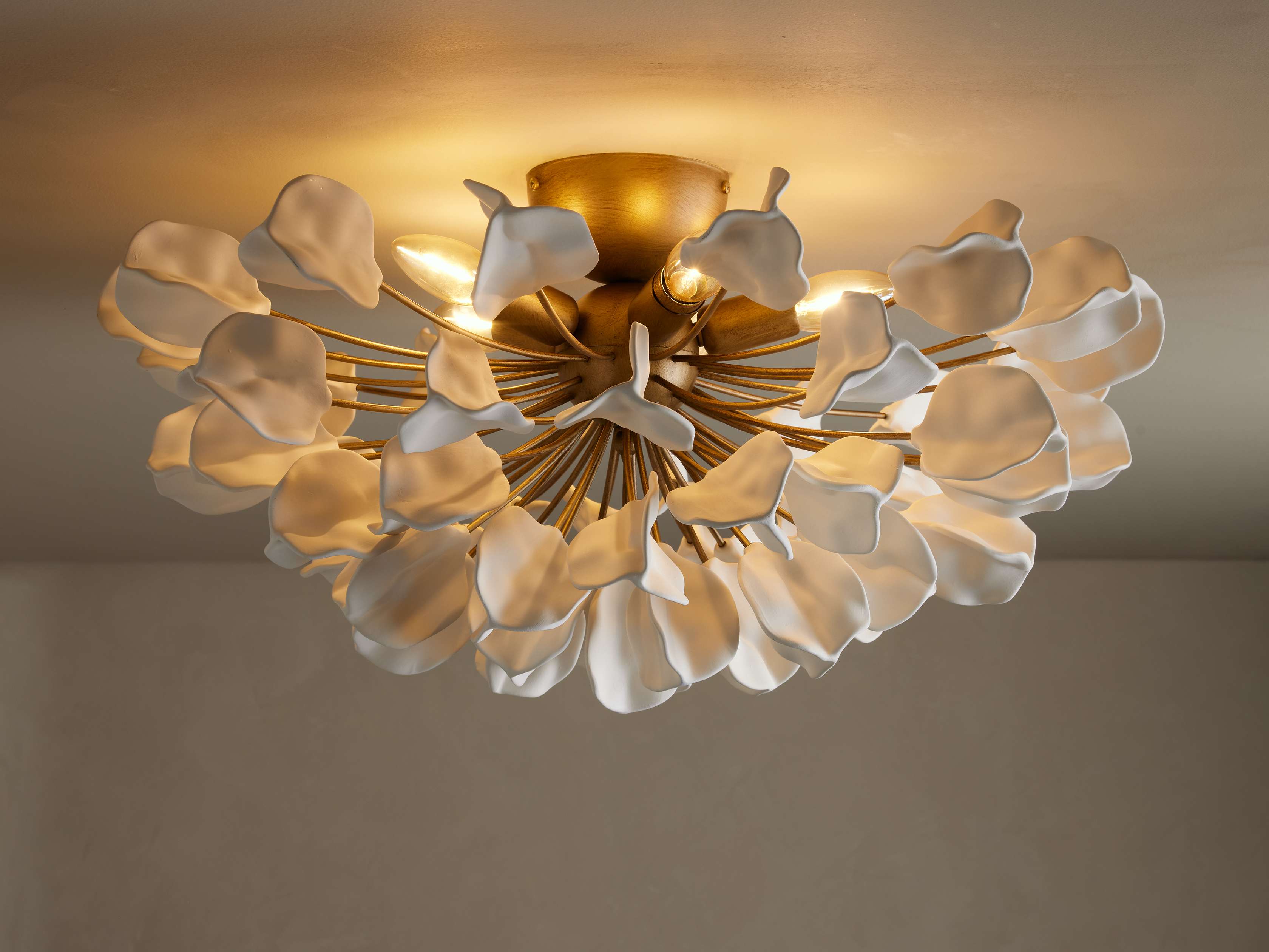 Lunaria Flush Mount - Zonesus