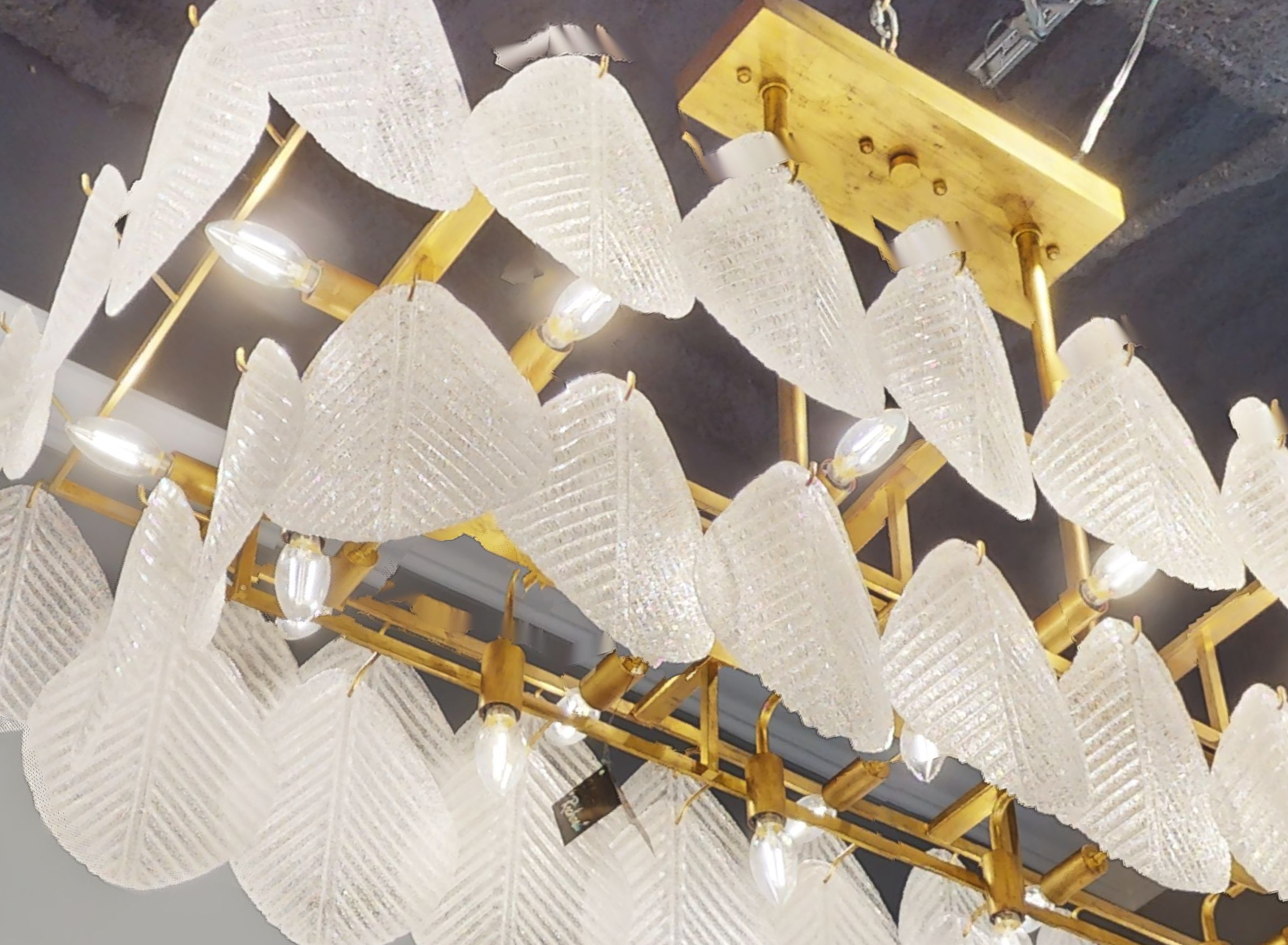 Frosted Glass Petal Horizontal Twenty-Four-Light Chandelier - Zonesus